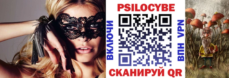 где продают наркотики Яхрома Псилоцибиновые грибы Psilocybe